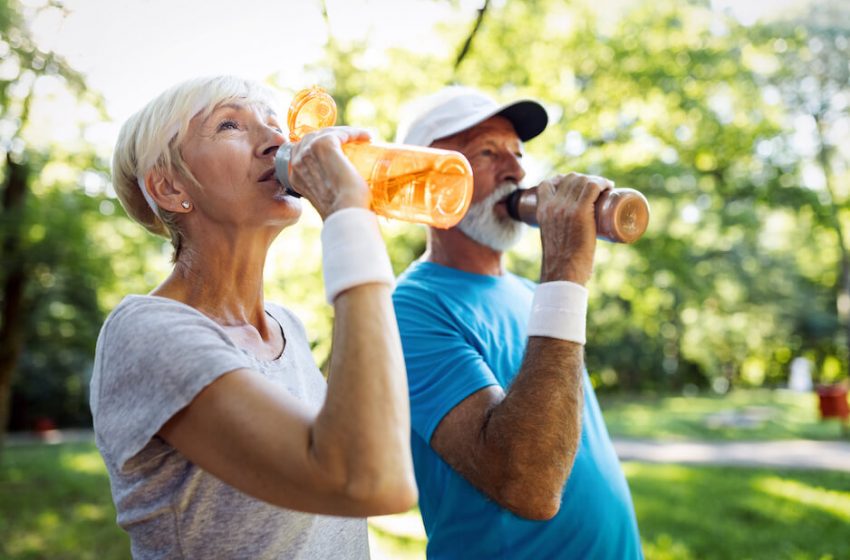 The Link Between Dehydration And Metabolism
