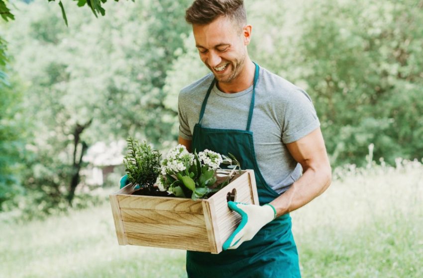  Reducing Anxiety and Depression With Garden & Green Activities